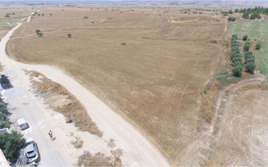 Anayola 40 Metre Arazi Nitelikli Tarla