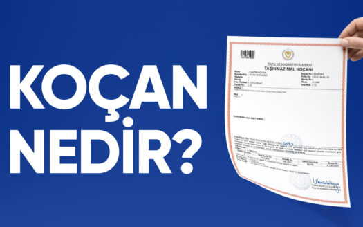 Koçan Nedir? Koçan Türleri Nelerdir? 5 koçan nedir